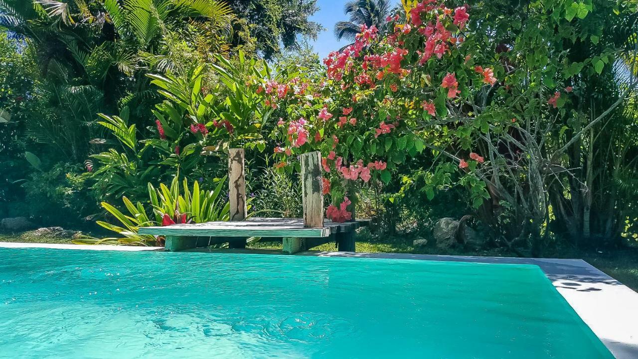 Villa Strelitzia Cabarete Dış mekan fotoğraf